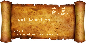 Promintzer Egon névjegykártya
